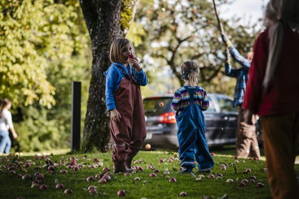 Wurzelkinder-Kindergarten_Apfelernte Wurzelkinder-Kindergarten_Apfelernte